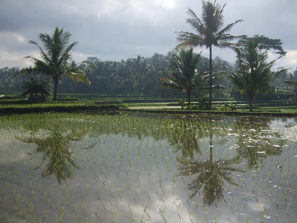 Villa Puri Darma Agung Ubud Indonesia