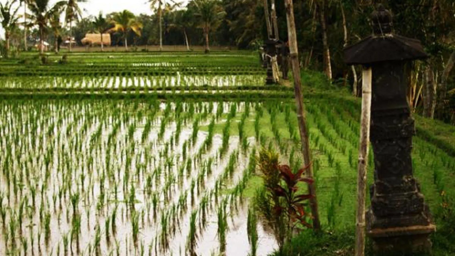 Villa Puri Darma Agung Ubud 4*,