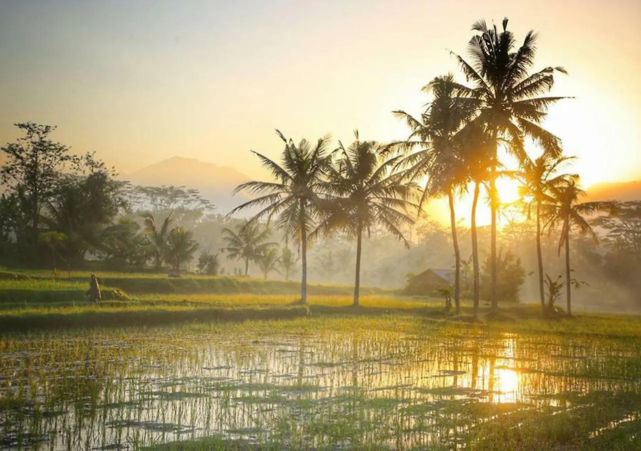 Parco vacanze Villa Puri Darma Agung Ubud